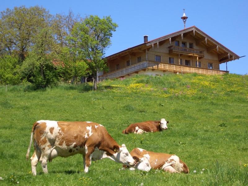 Huberbauernhof Ferienwohnungen بيدينغ المظهر الخارجي الصورة